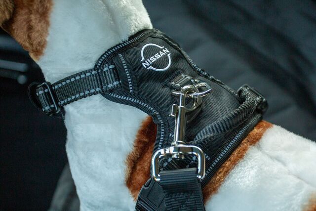 OEM Nissan Dog Harness