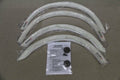 Nismo R34 GTR Fender Flare Set